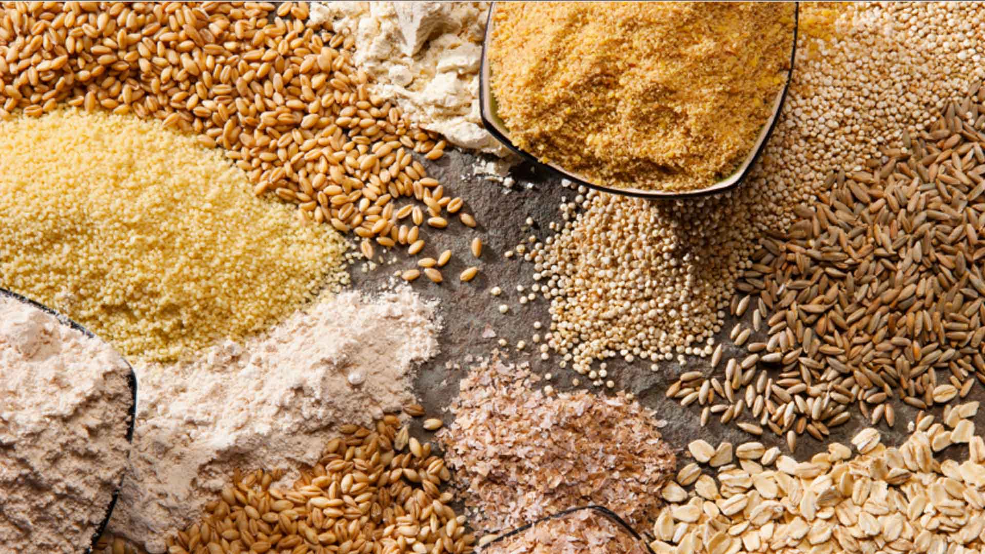 Exports Corn, Grains, and Vegetable Powder